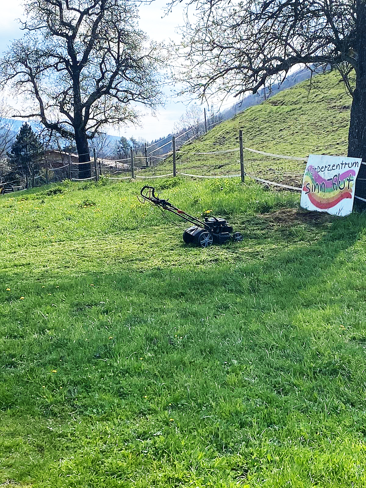 yoga im freien