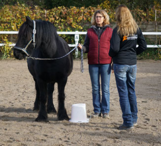 das seminar